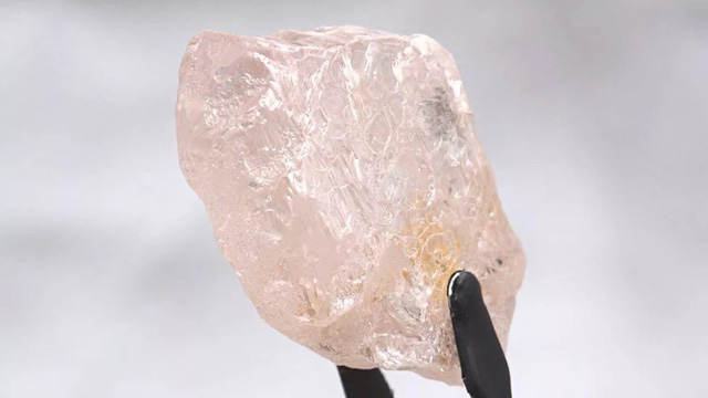 https://www.diamondflower.vn/storage/blogs/kim-cuong-hong-1_1663563875.jpg